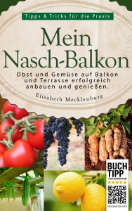 meinnaschbalkon-ebookmeter